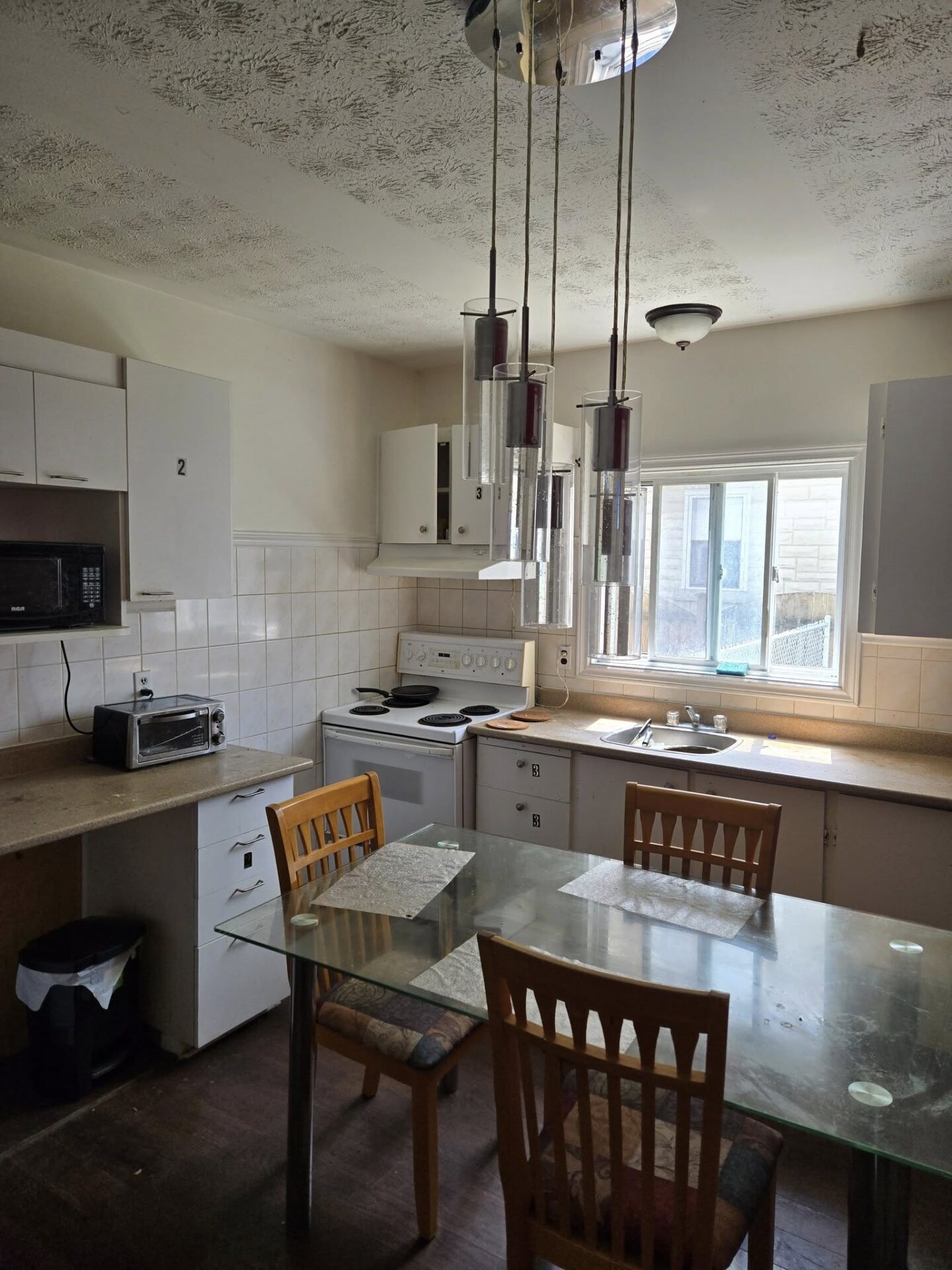 539819002_122183474498329184_2368747675769653796_n